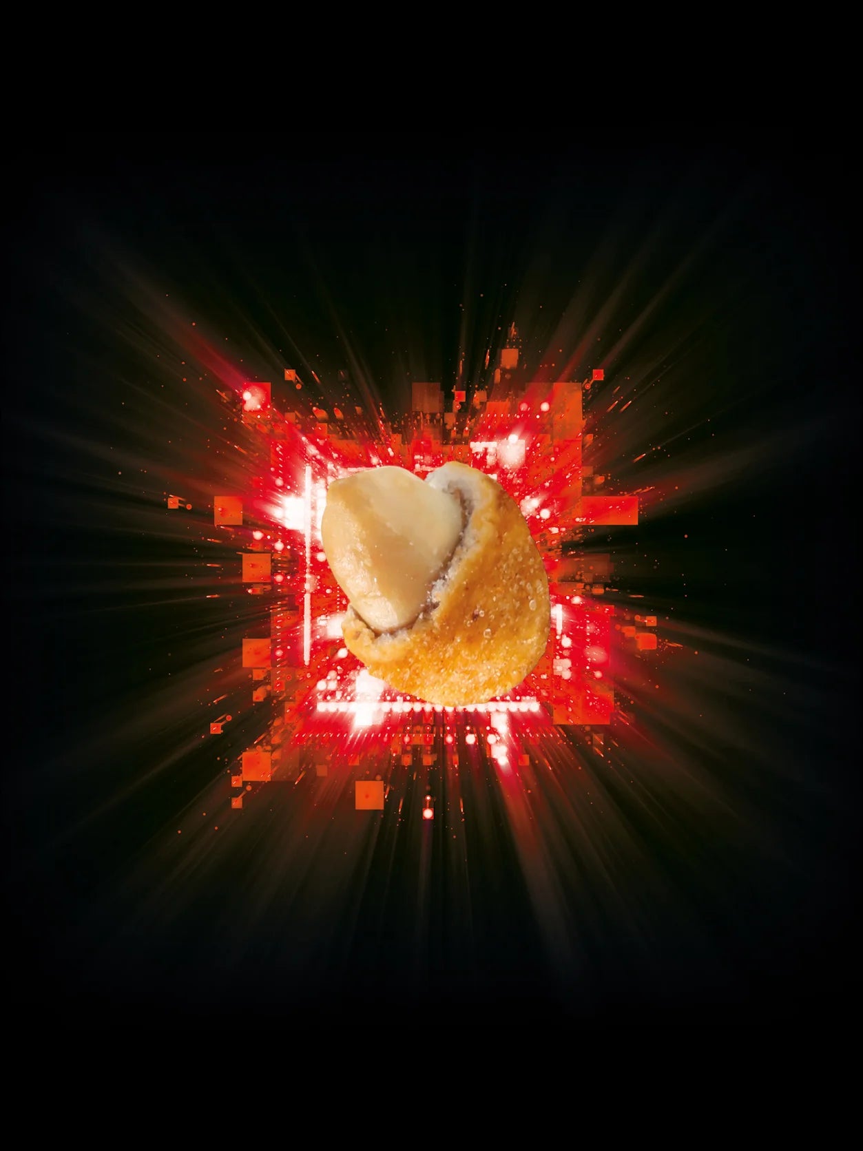 CRACKZ CRUNCHY NUTS STARTER KIT