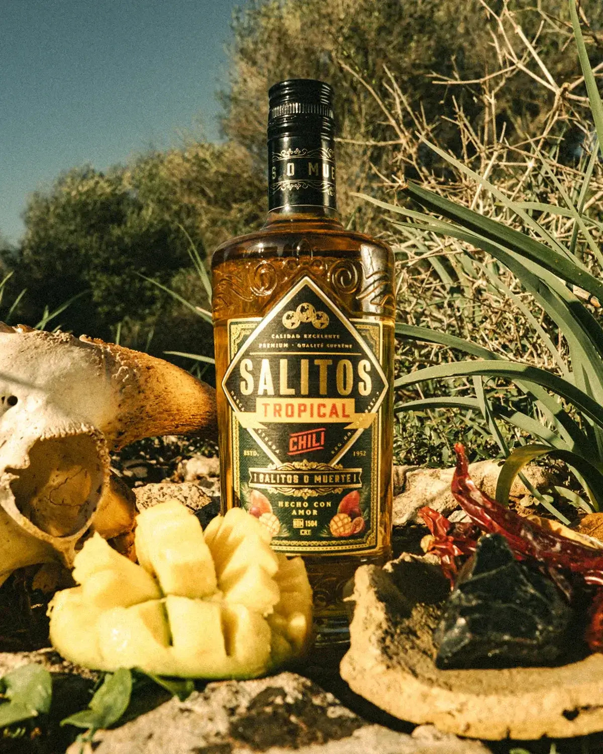Eine Flasche SALITOS Tequila Tropical-Chilli umringt von einer Mango und einer blauen Agave