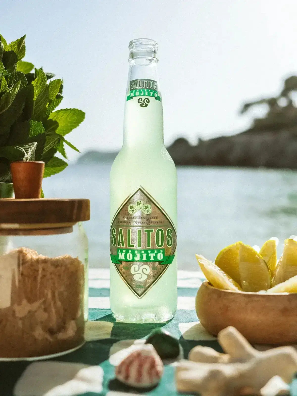 Eine Flasche SALITOS Mojito umgeben von tropischen Früchten